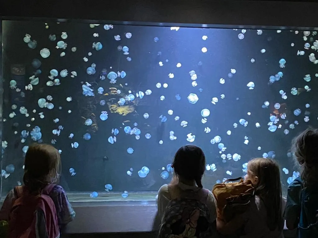 Kinder beim Ausflug vor einem großen Aquarium